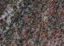 Floor & Walls