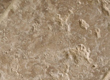 Limestone series