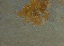 Slate color